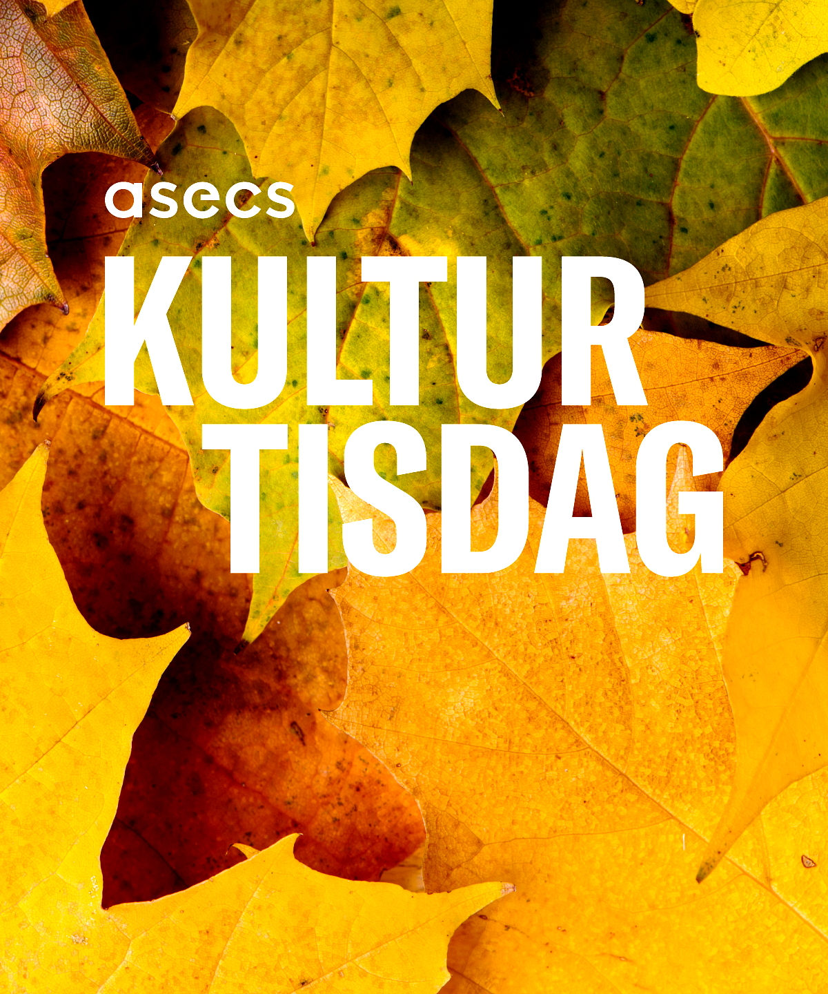 Kulturtisdaghöst2026
